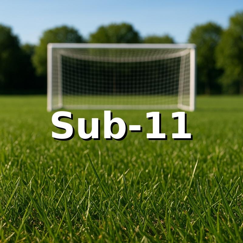 Categoría Sub-11 — Evolution Fut Caracas