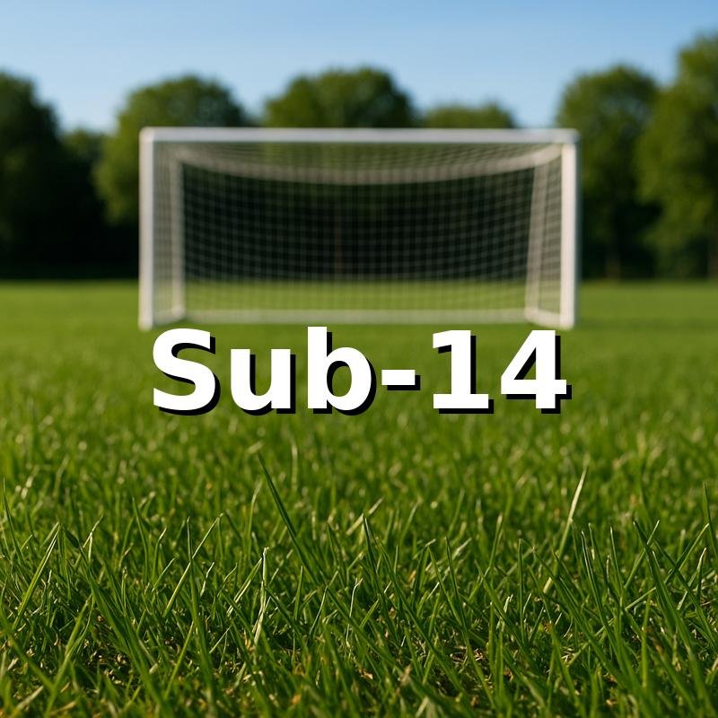 Categoría Sub-14 — Evolution Fut Caracas