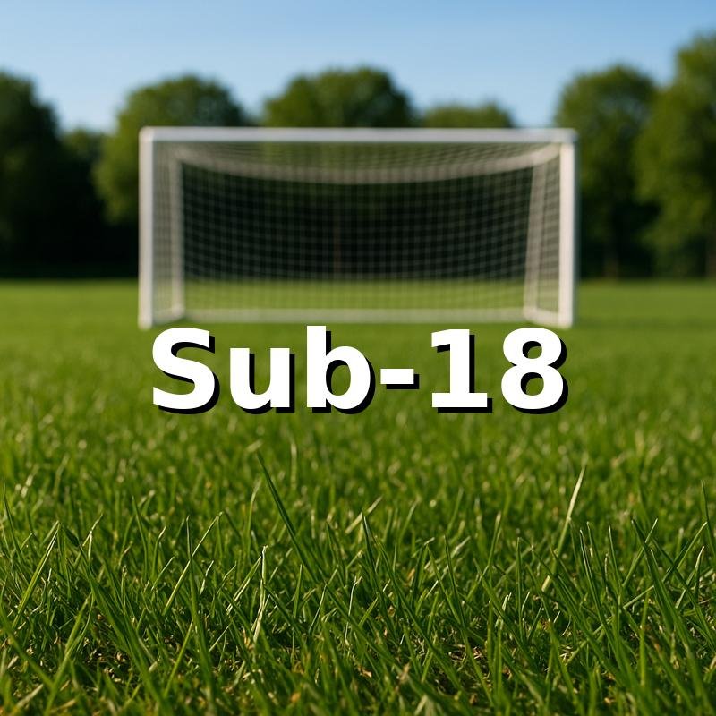 Categoría Sub-18 — Evolution Fut Caracas