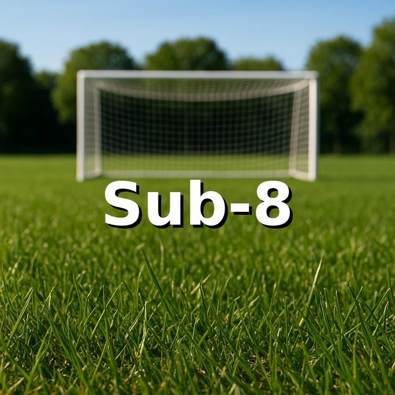 Categoría Sub-8 — Evolution Fut Caracas