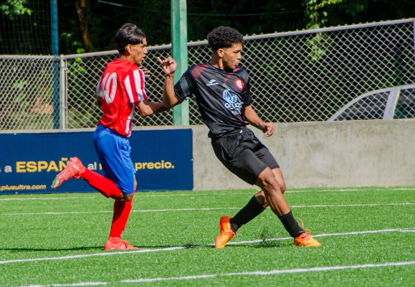 Competencias federadas y otras - Evolution CF